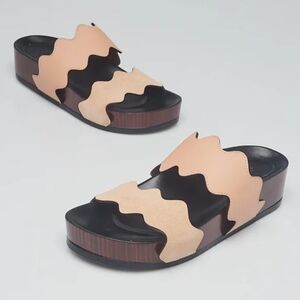 Chloe | Lauren Scalloped Sandal